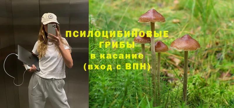 Галлюциногенные грибы Magic Shrooms  где купить наркоту  Гай 